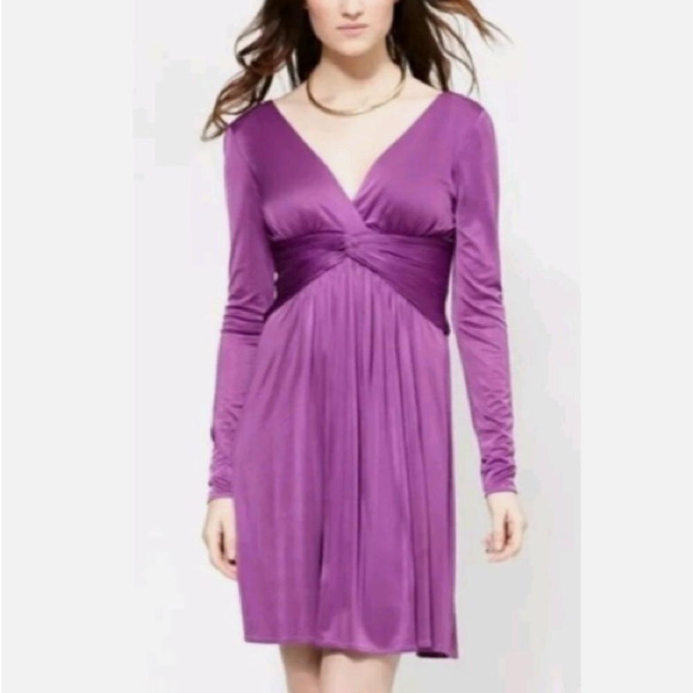 BCBGMaxAzria Long Sleeve Plunge Gown